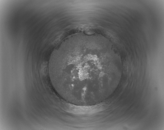 X0000066970034200603241222