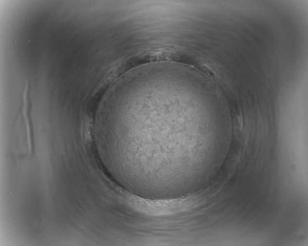 X0000066970038200603241222