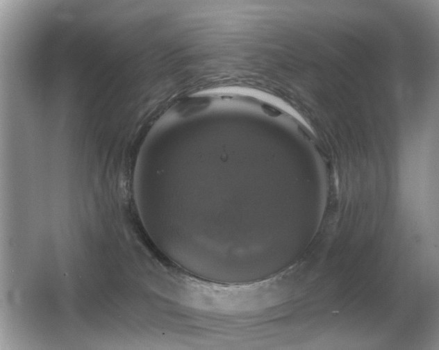 X0000066970039200603241222