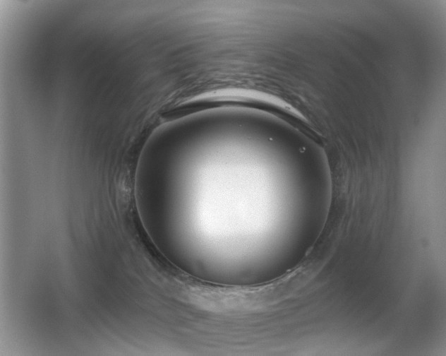 X0000066970040200603241222