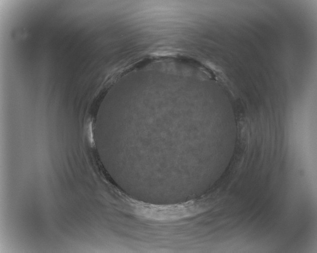 X0000066970042200603241222