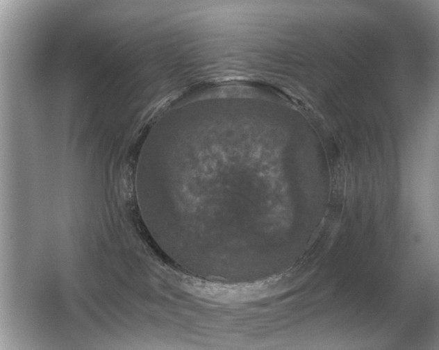 X0000066970043200603241222