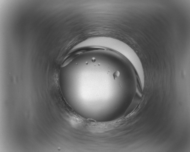 X0000066970045200603241222