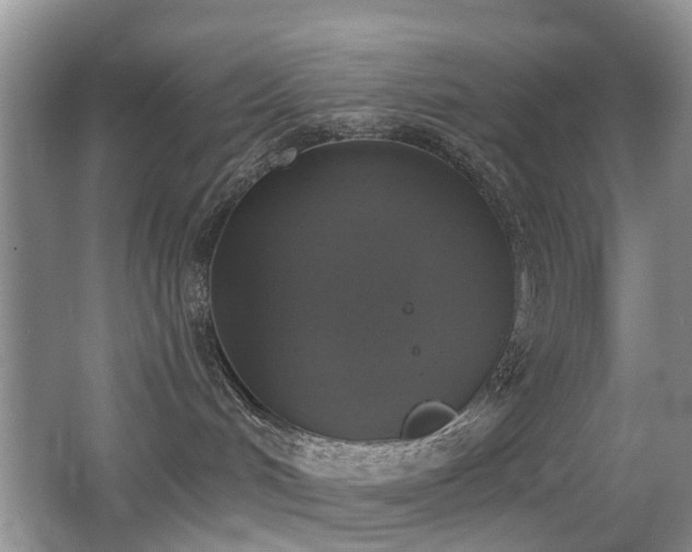 X0000066970048200603241222