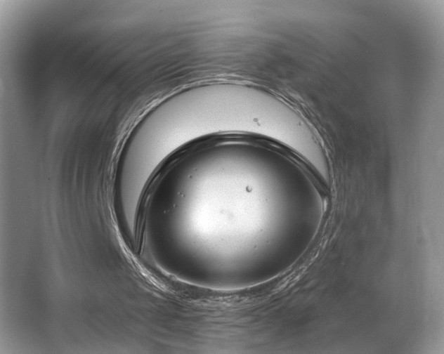 X0000066970049200603241221