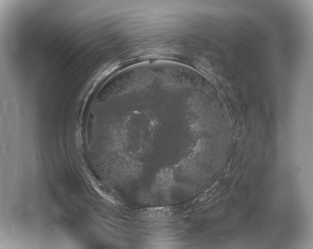 X0000066970050200603241221