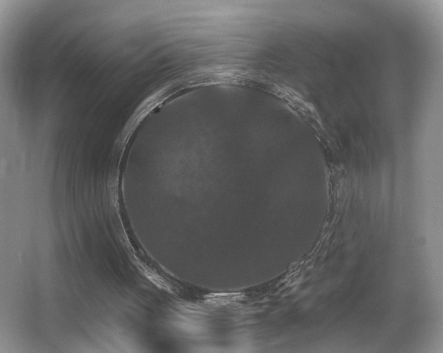 X0000066970051200603241221