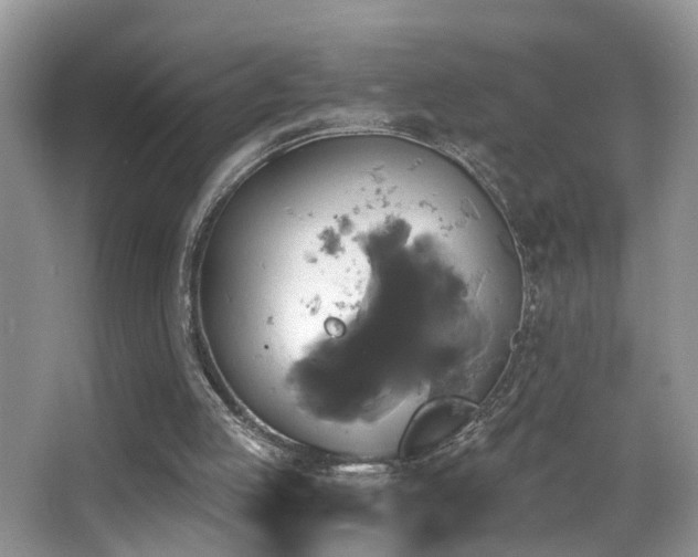 X0000066970053200603241221