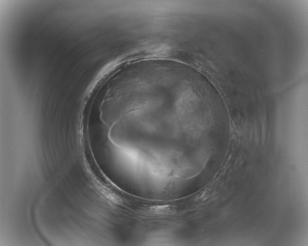 X0000066970054200603241221