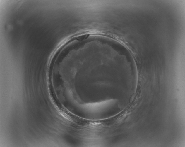 X0000066970055200603241221