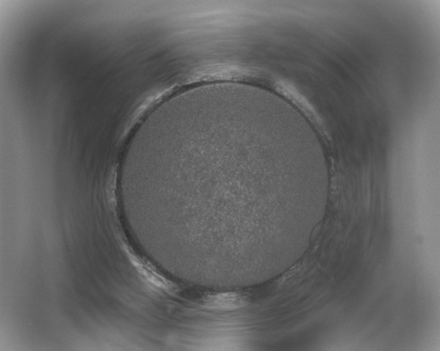 X0000066970058200603241221