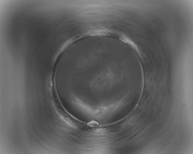 X0000066970059200603241221