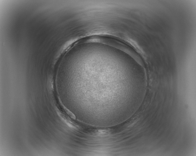 X0000066970060200603241221