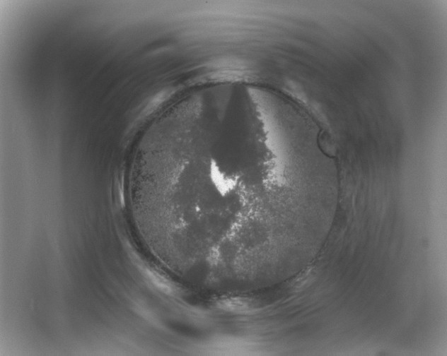 X0000066970062200603241221