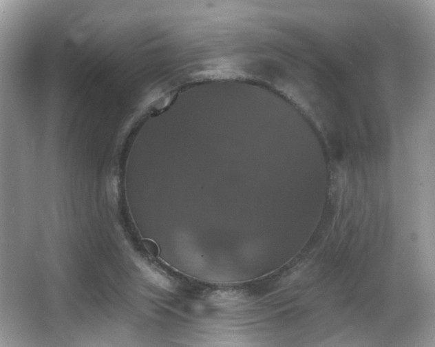 X0000066970063200603241221