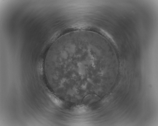 X0000066970065200603241221