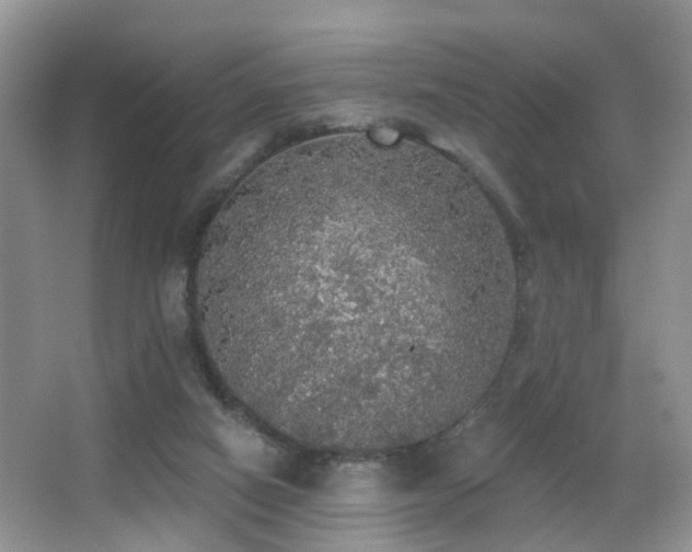 X0000066970066200603241221