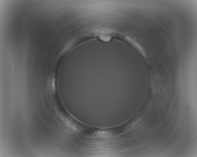 X0000066970067200603241221