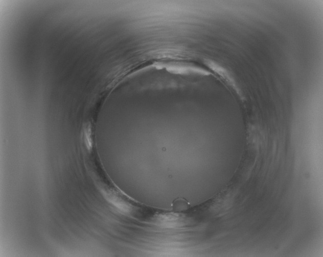 X0000066970069200603241221