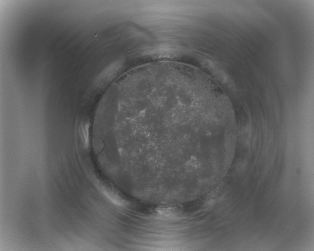 X0000066970070200603241221