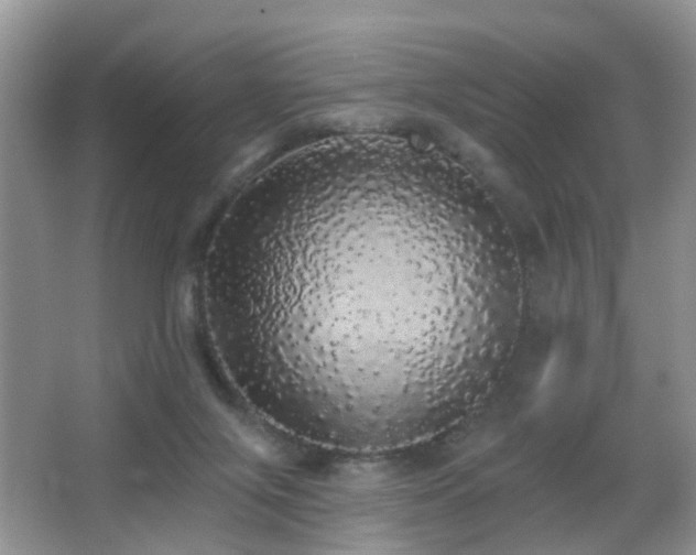 X0000066970071200603241221