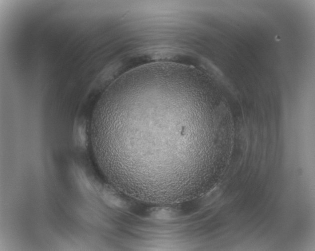 X0000066970074200603241221