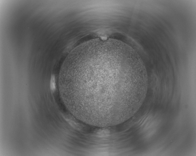 X0000066970075200603241221