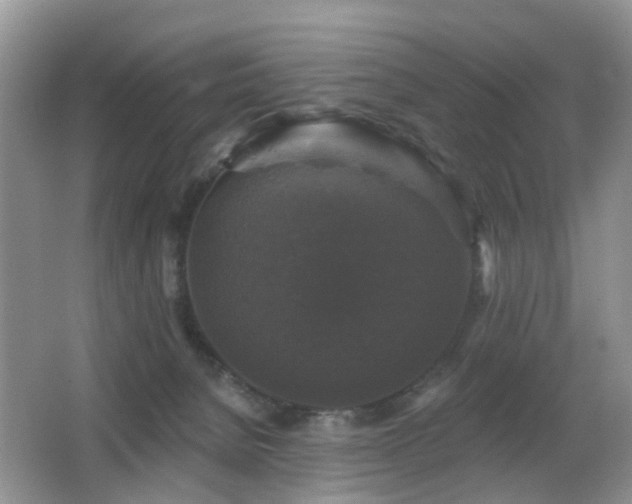 X0000066970080200603241222