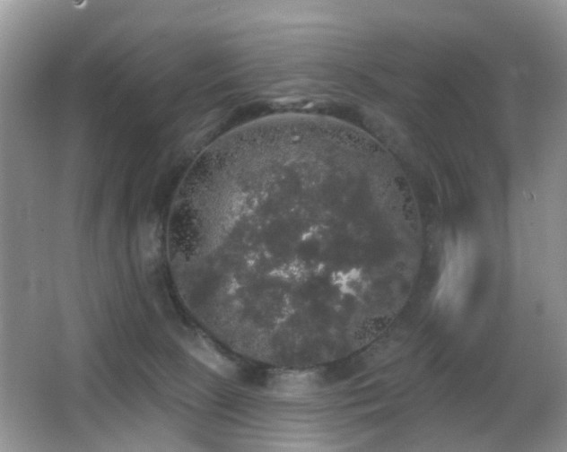 X0000066970081200603241222