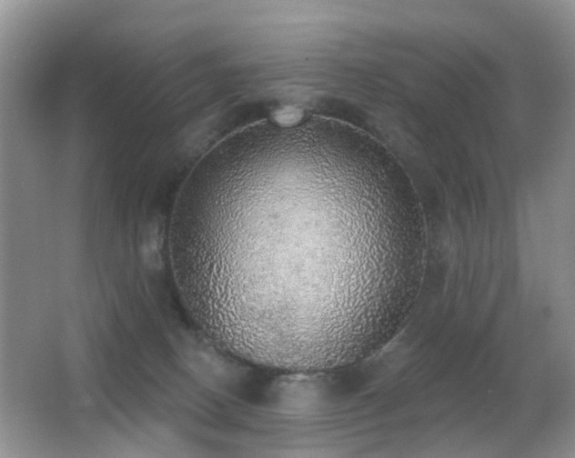 X0000066970082200603241222