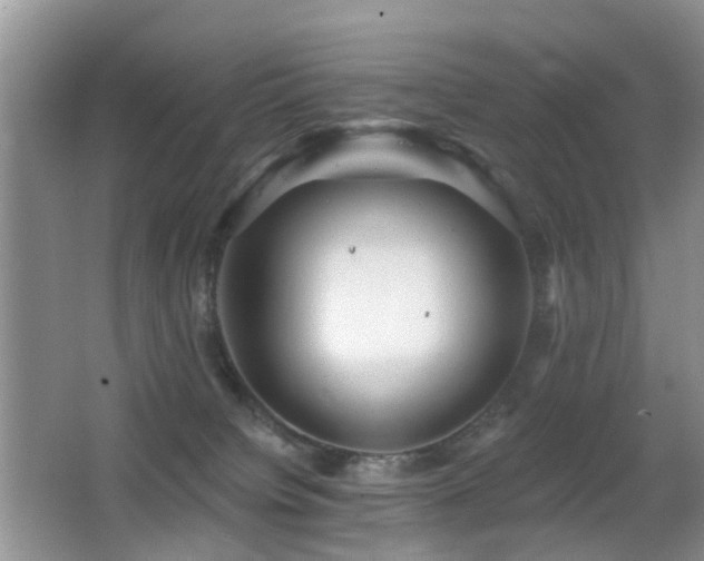 X0000066970084200603241222