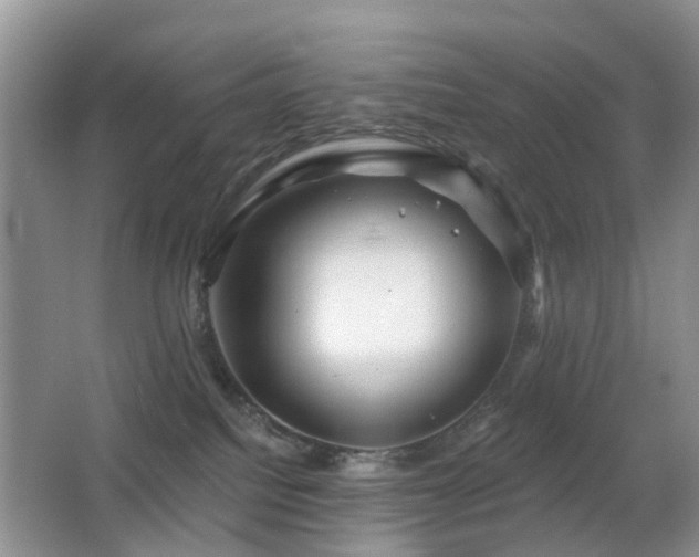 X0000066970088200603241222