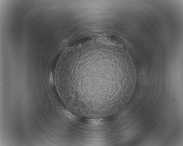 X0000066970089200603241222