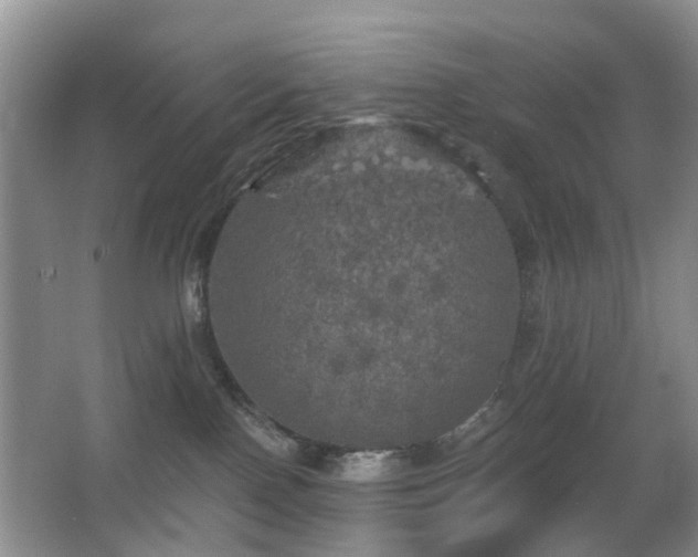 X0000066970090200603241222