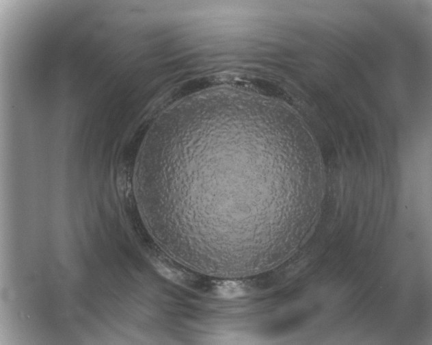 X0000066970091200603241222