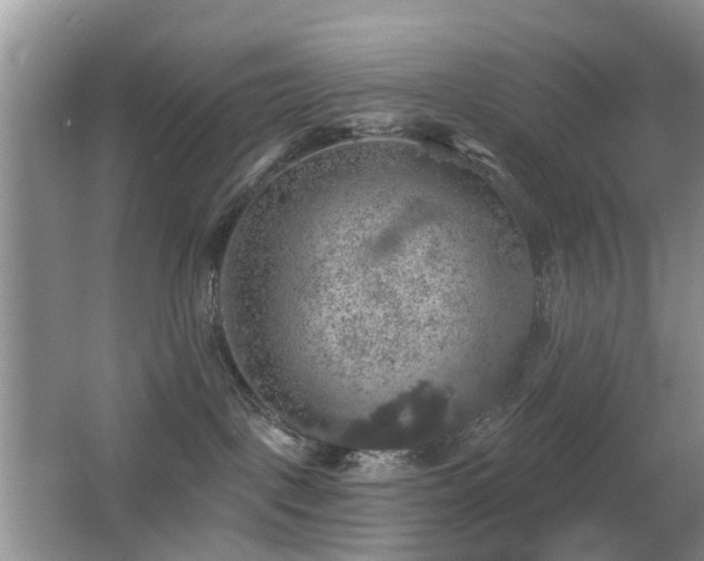 X0000066970093200603241222