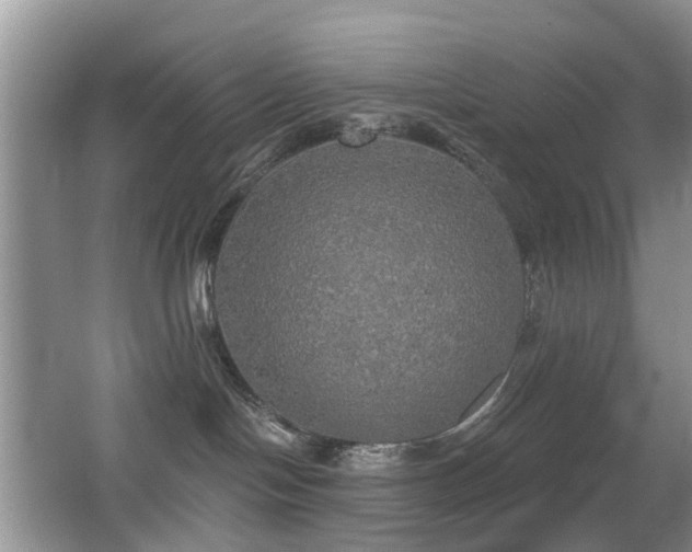 X0000066970094200603241222