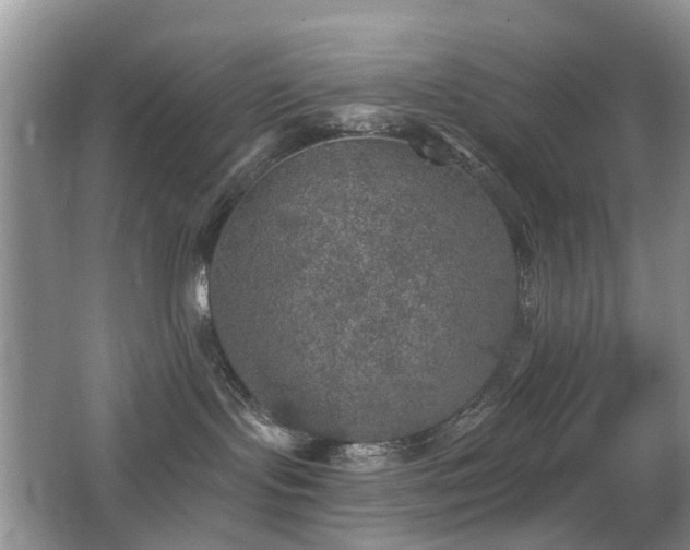 X0000066970095200603241222