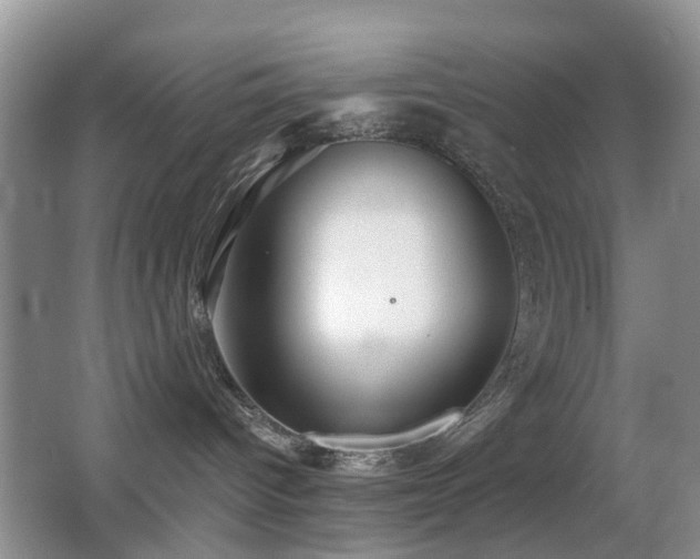 X0000066970096200603241222