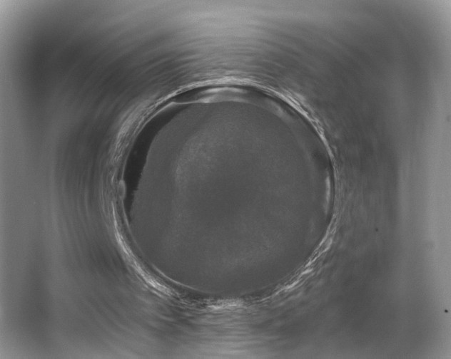 X0000066970097200603241221