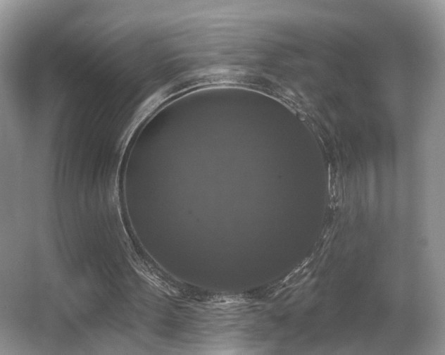 X0000066970099200603241221