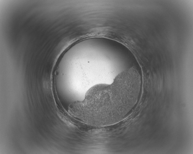 X0000066970100200603241221