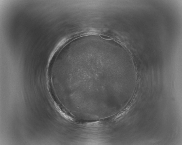 X0000066970102200603241221