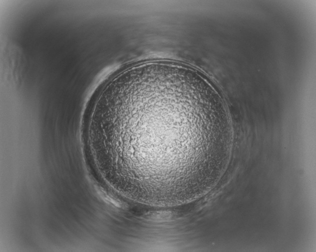 X0000066970104200603241221