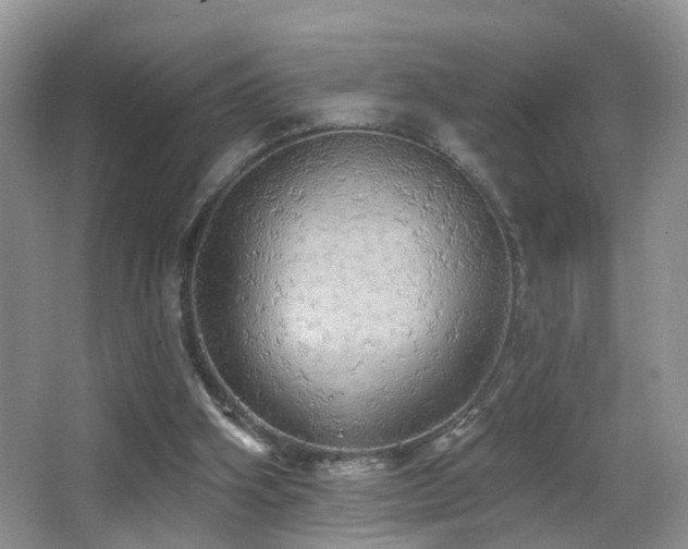 X0000066970106200603241221