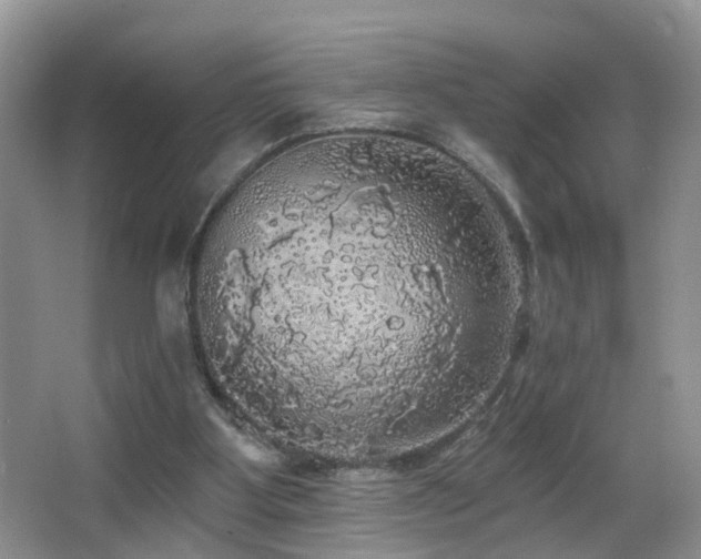 X0000066970107200603241221