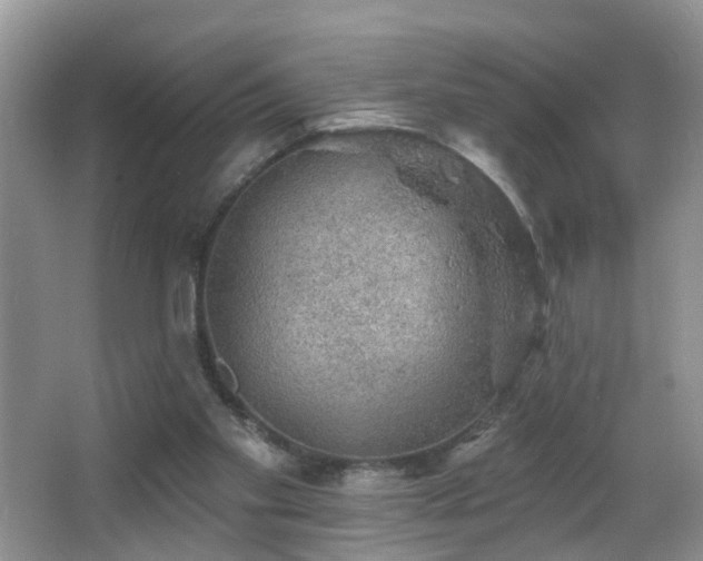 X0000066970109200603241221