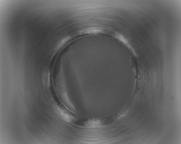 X0000066970110200603241221