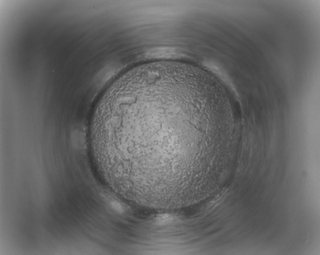 X0000066970111200603241221