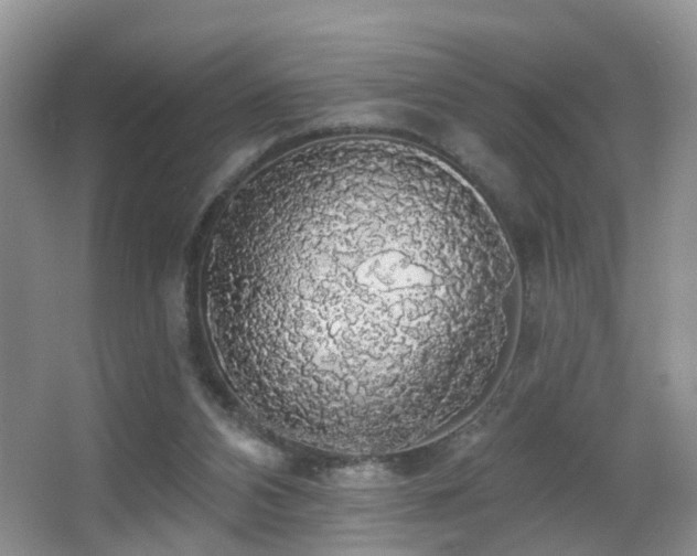 X0000066970112200603241221